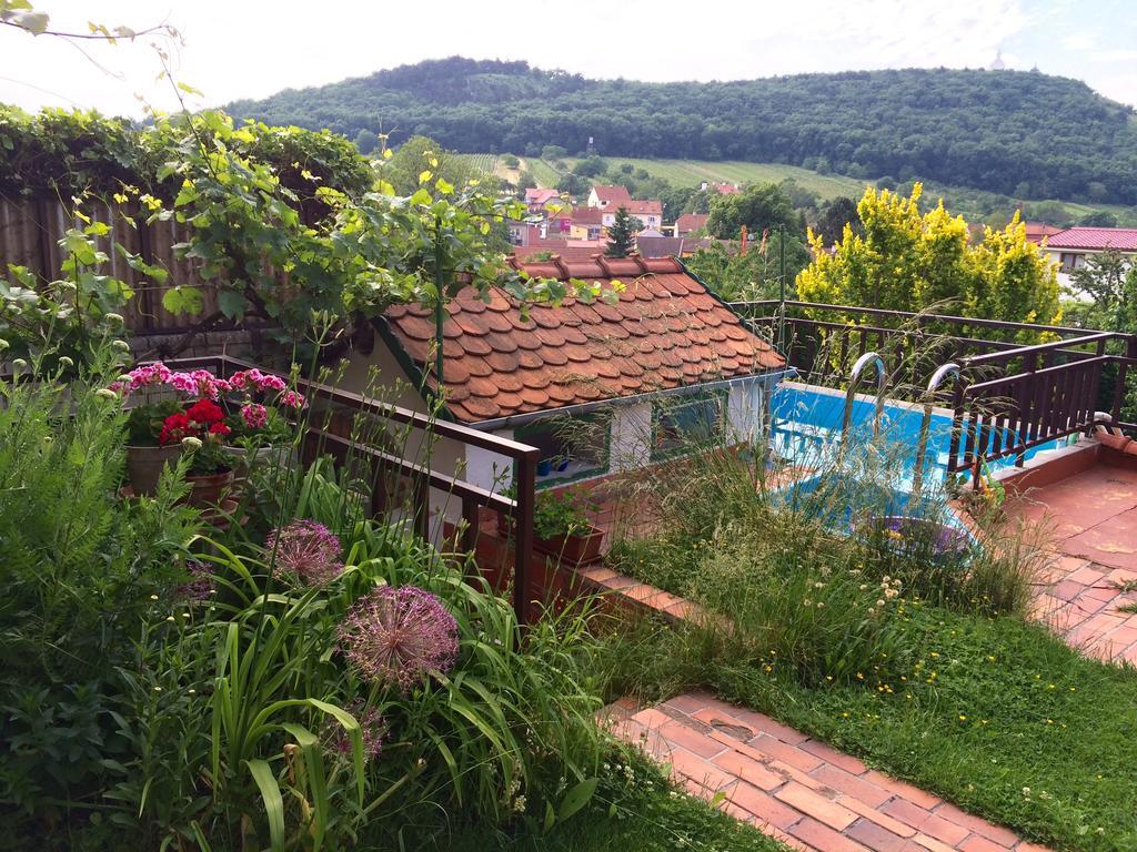 Pension Crhan Mikulov Extérieur photo